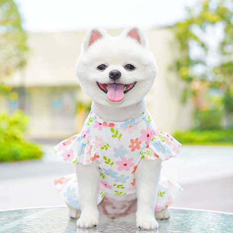 Sweet Ice Silk Dog Clothes Pet Summer Pullover Yorkshire Breathable Mesh Short Dress with Leash Buckle H260129