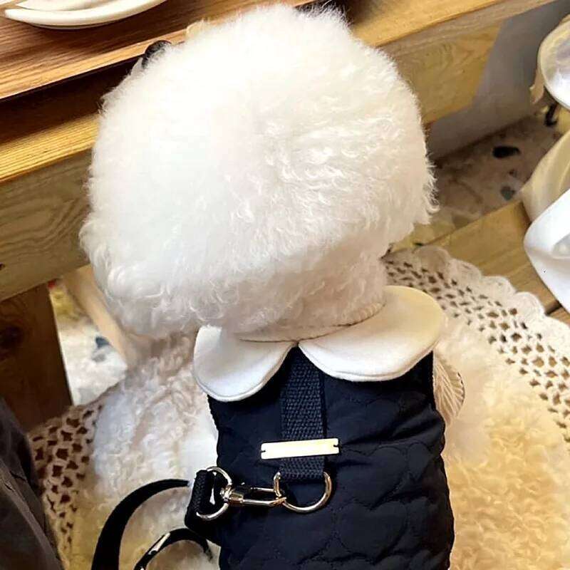 Puppy Couple Outfits Collared Clothes Teddy Winter Warmth Cotton Coat Bichon Pretty Dress Female Dog Down Jacket H260130