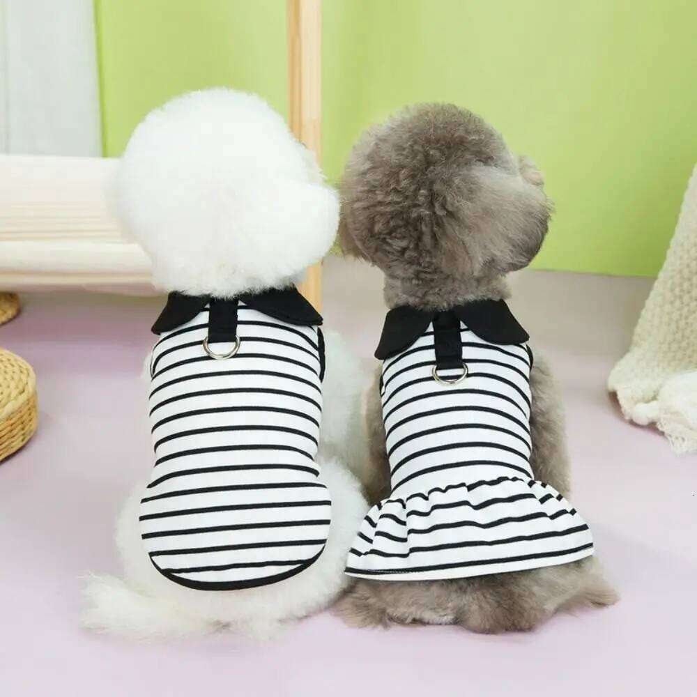 Couple Outfits Cute Dog Striped T-shirts Breathable Thin Design Pet Skirt Soft Cat Lapel Dresses Spring Summer H260129