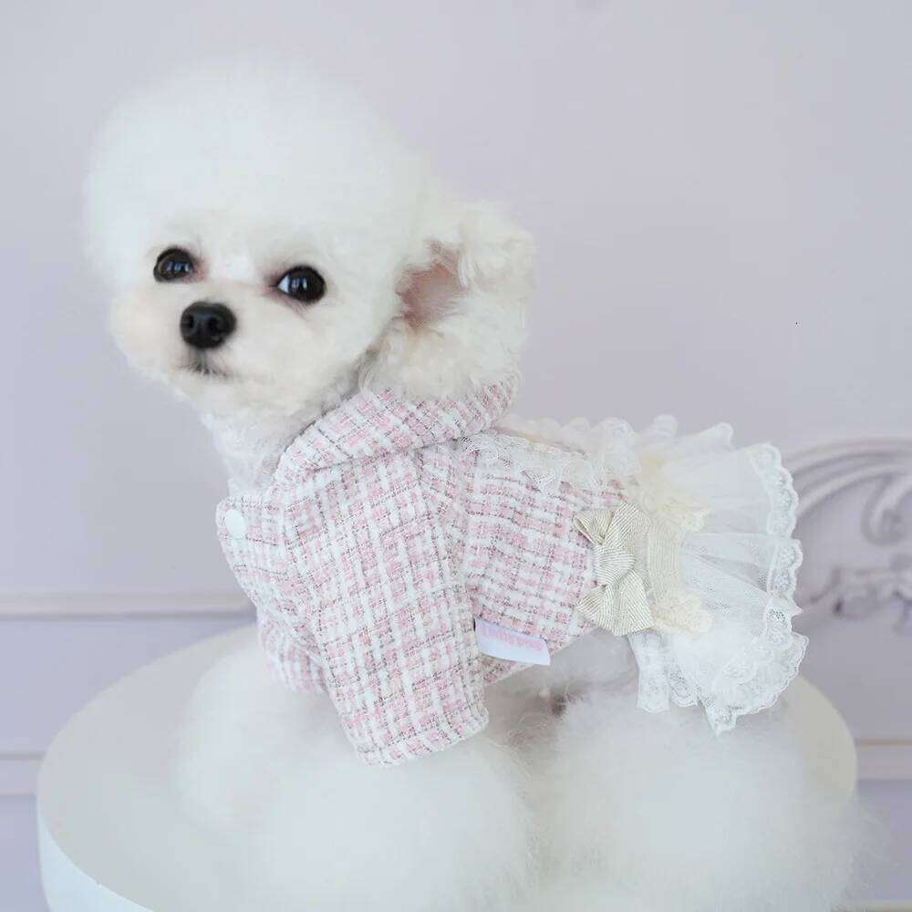 Pet Autumn Winter Woolen Patchwork Mesh Coat Princess Small Medium-sized Dog Wedding Dress Cat Cute Two Legged Outfit H260130