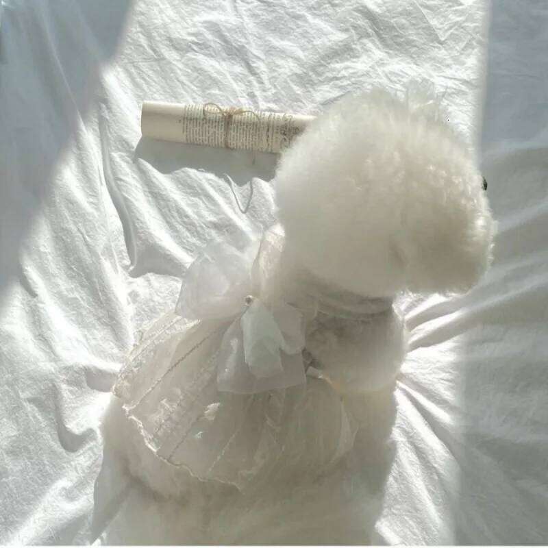Dog Dresses for Small Dogs Wedding Dress Summer Mesh Strap ClothesThin Cat Princess Skirt Pet Puff SkirtTeddy H260130