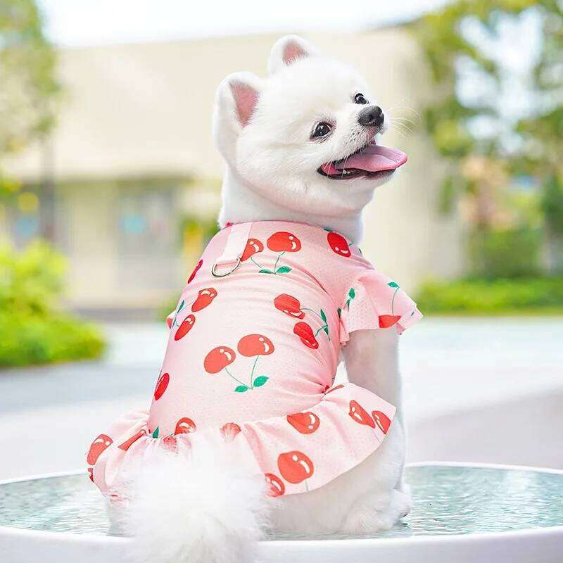 Sweet Ice Silk Dog Clothes Pet Summer Pullover Yorkshire Breathable Mesh Short Dress with Leash Buckle H260129