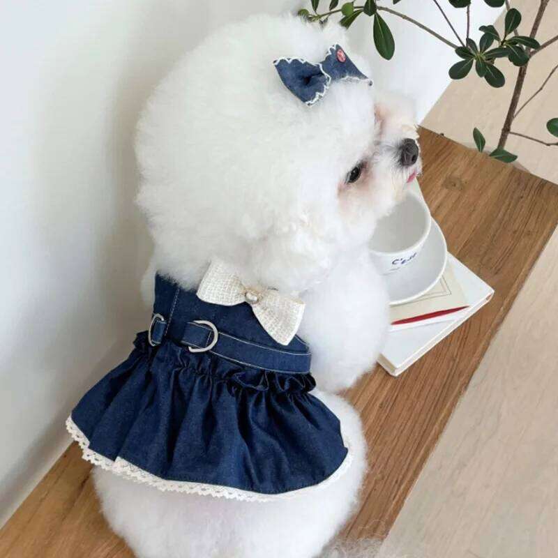 Pet Spring Cat Cowboy Vest Walking Out Chest Back Traction Cute Bow Dress Puppy Dog Clothes for Small Dogs H260130