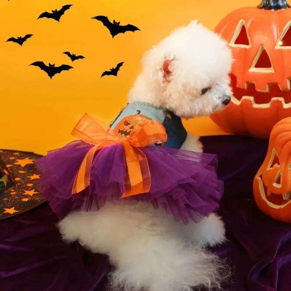 Pumpkin Halloween Dress Soft Adorable Lace Skirt Comfortable Chihuahua Size Small Dog Outfits Photograph Props H260130