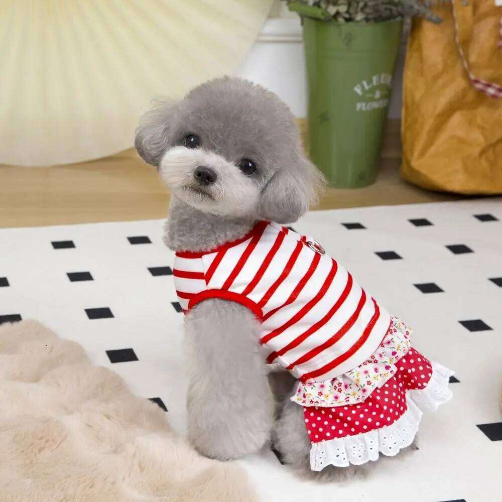 Chest Strap Cute Striped Dog Dress Soft Breathable Summer Pet Clothes Thin Design Cat Vest Harness for Puppy Kittens H260130