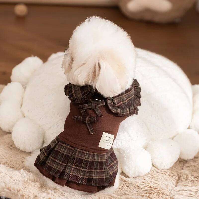 Punk-Style Dog Dress Couple Outfits Teddy American-Style Skirt Winter Warm Sweatshirt for Small Dogs Pet Supplies H260130