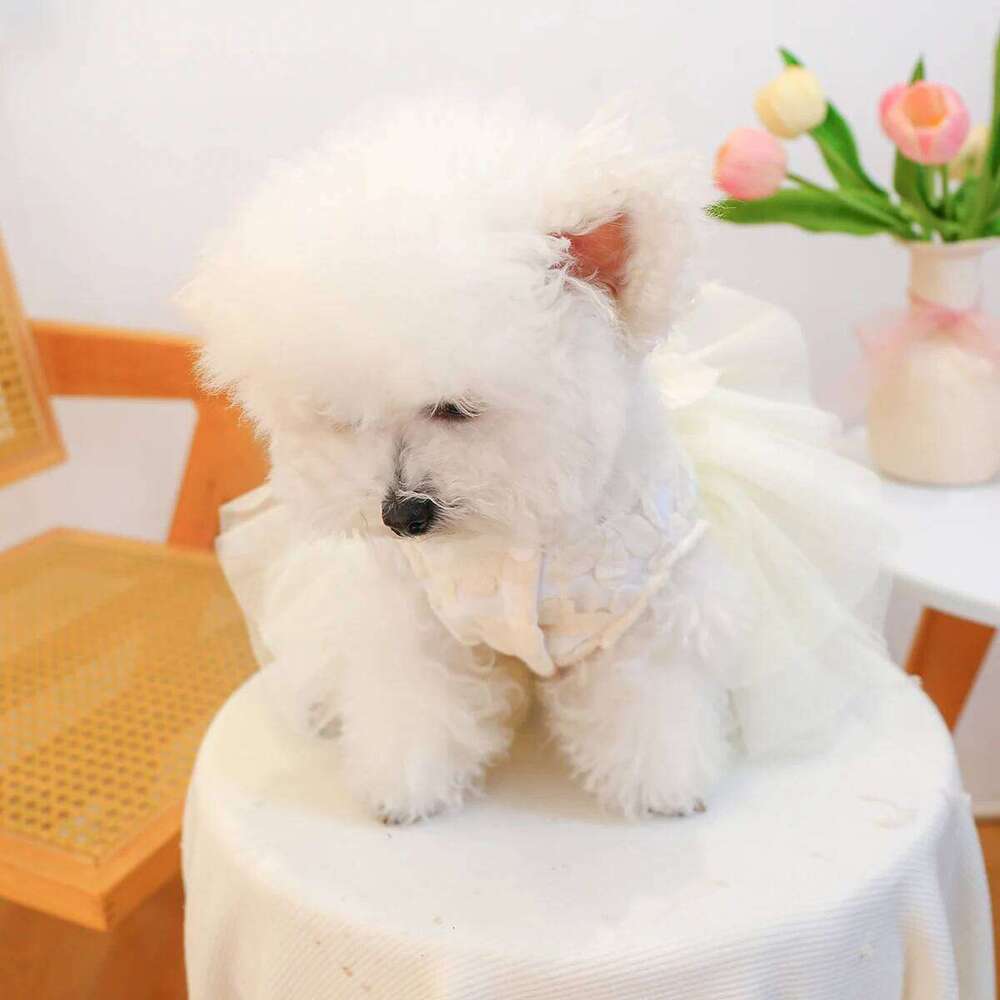 Pet Dog Clothes Summer Haute Couture Wedding Princess Dress Beige Puff Gauze Skirt H260129