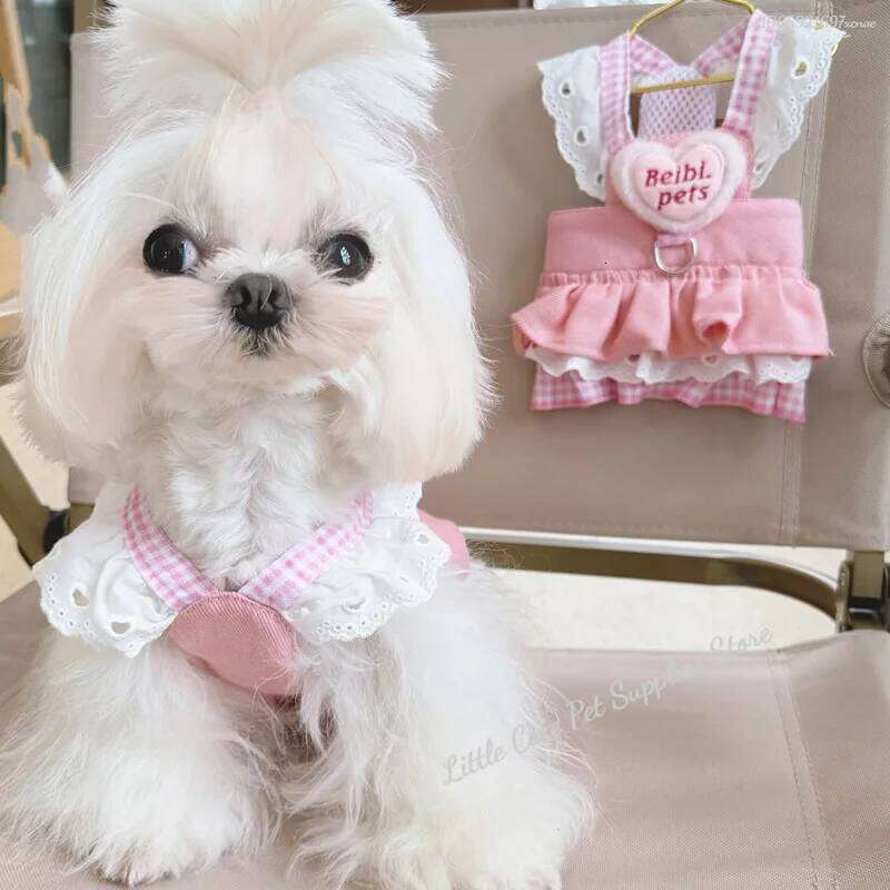 Cute Pet Love Lace Denim Traction Puppy Dresses Thin Princess Skirt Dog Chest and Back Clothes Breathable H260129