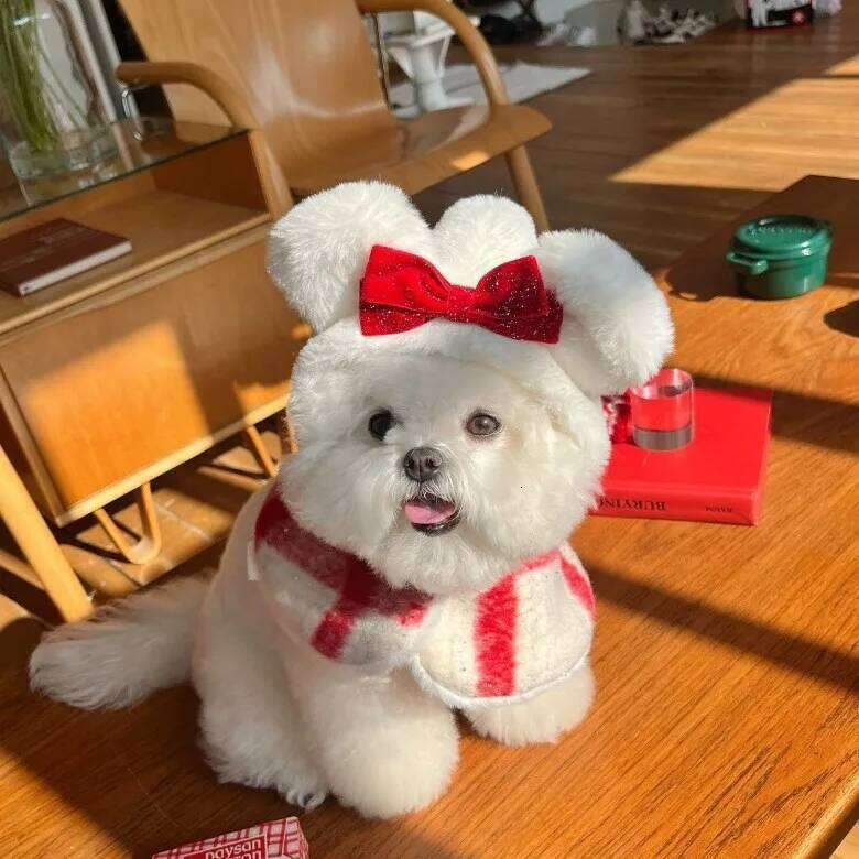 Pet Autumn and Winter Christmas Woolen Dress New Year Red Plaid Cat Coat Cloak Dog for Small Dogs Puppy Clothes H260130