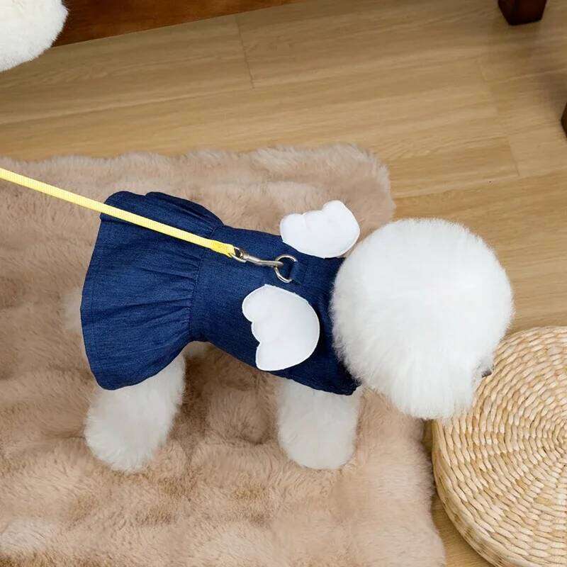 Pet Skirt Spring Summer Fashion and Cat Dresses Cute Puppy Denim Dog Clothes Chihuahua French Bulldog Yorkie H260129