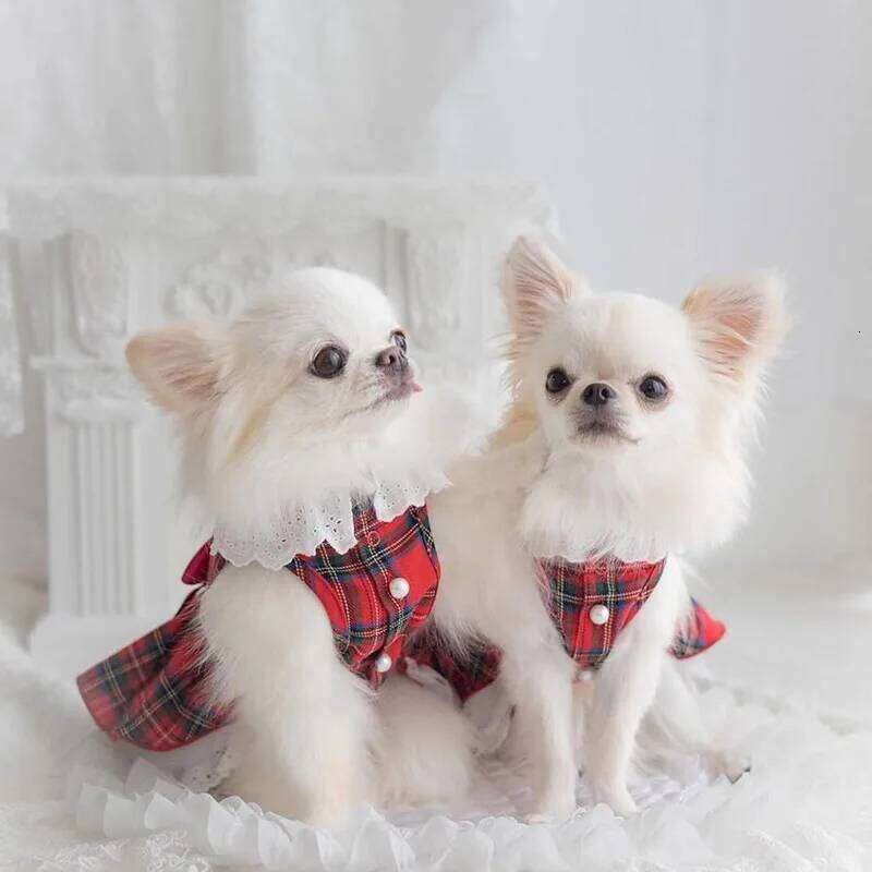 Plaid Fleece Dog Dress & Skirt Set - Winter Christmas Apparel with Adjustable Straps, Warm Lace Trim for Yorkie Chihuahua Puppy H260129