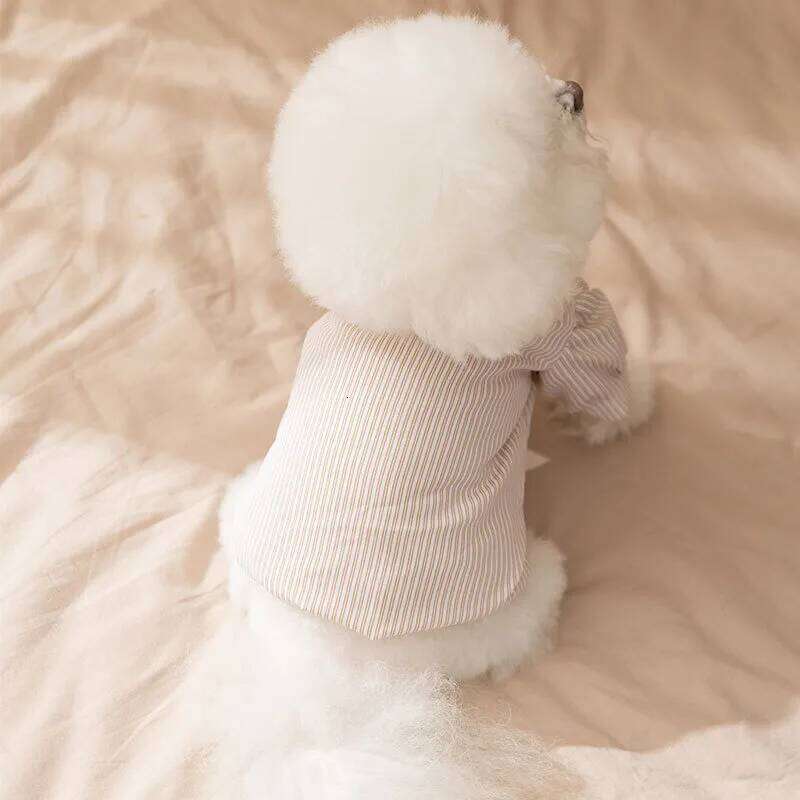Bichon Frise Striped Two-legged Winter Teddy Dress Small and Medium-sized Warm Couple Clothes Female Dog Skirt H260130