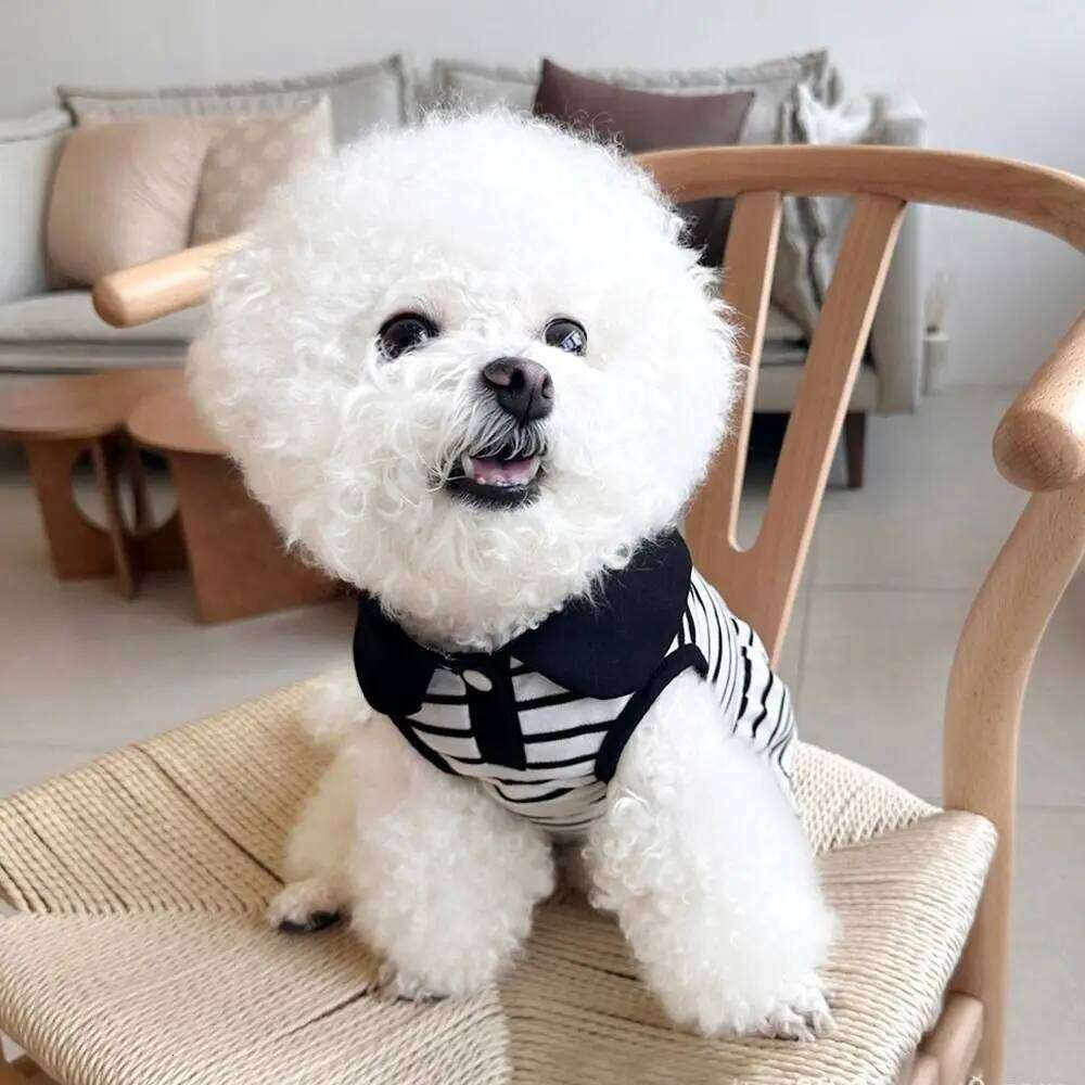 Couple Outfits Cute Dog Striped T-shirts Breathable Thin Design Pet Skirt Soft Cat Lapel Dresses Spring Summer H260129