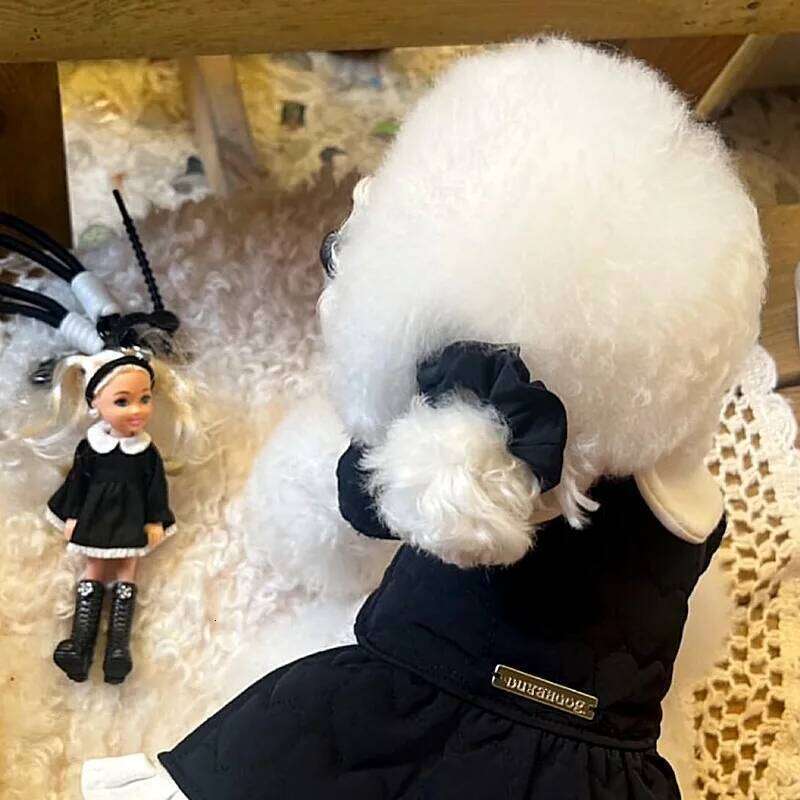 Puppy Couple Outfits Collared Clothes Teddy Winter Warmth Cotton Coat Bichon Pretty Dress Female Dog Down Jacket H260130