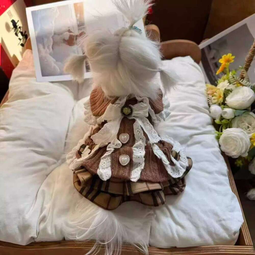 Egyptian Latin Thick Knitted Pet Autumn Lace And Retro Court Style Featuring Small Dog-Shaped Dress H260129