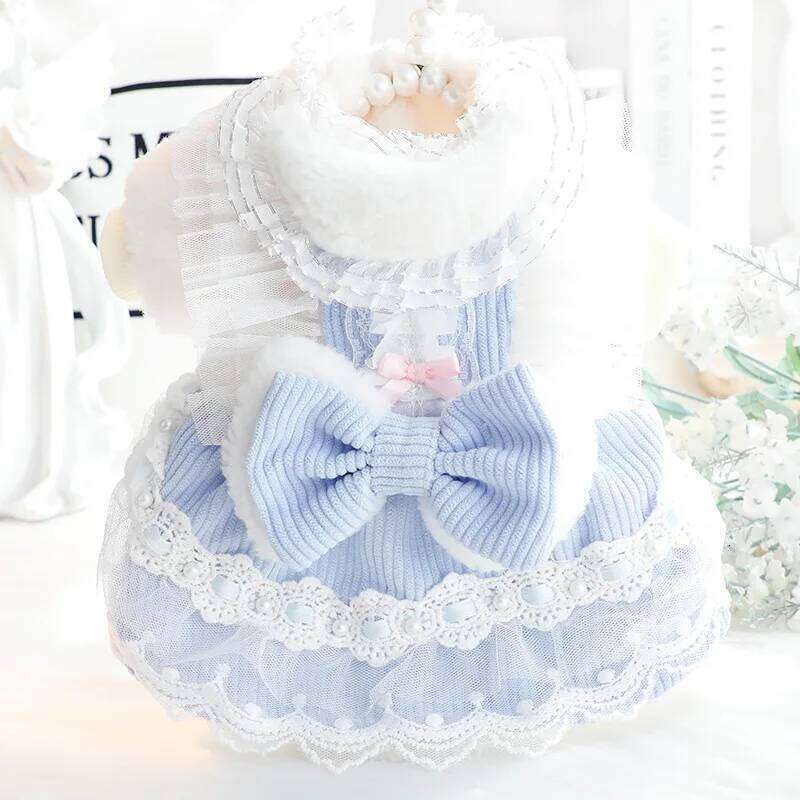 Clothes Autumn and Winter Thick Cat Princess Dress Bow Lace Small Dog Teddy Pet Supplies H260129