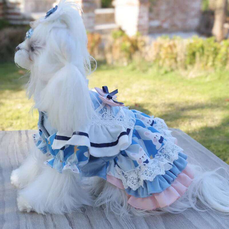 2025 Spring Summer Clothes Thin Puppy Dress Lolita Luxury Dog Clothing chihuahua Apparel Dresses Pet Costume for Small Dogs H260129