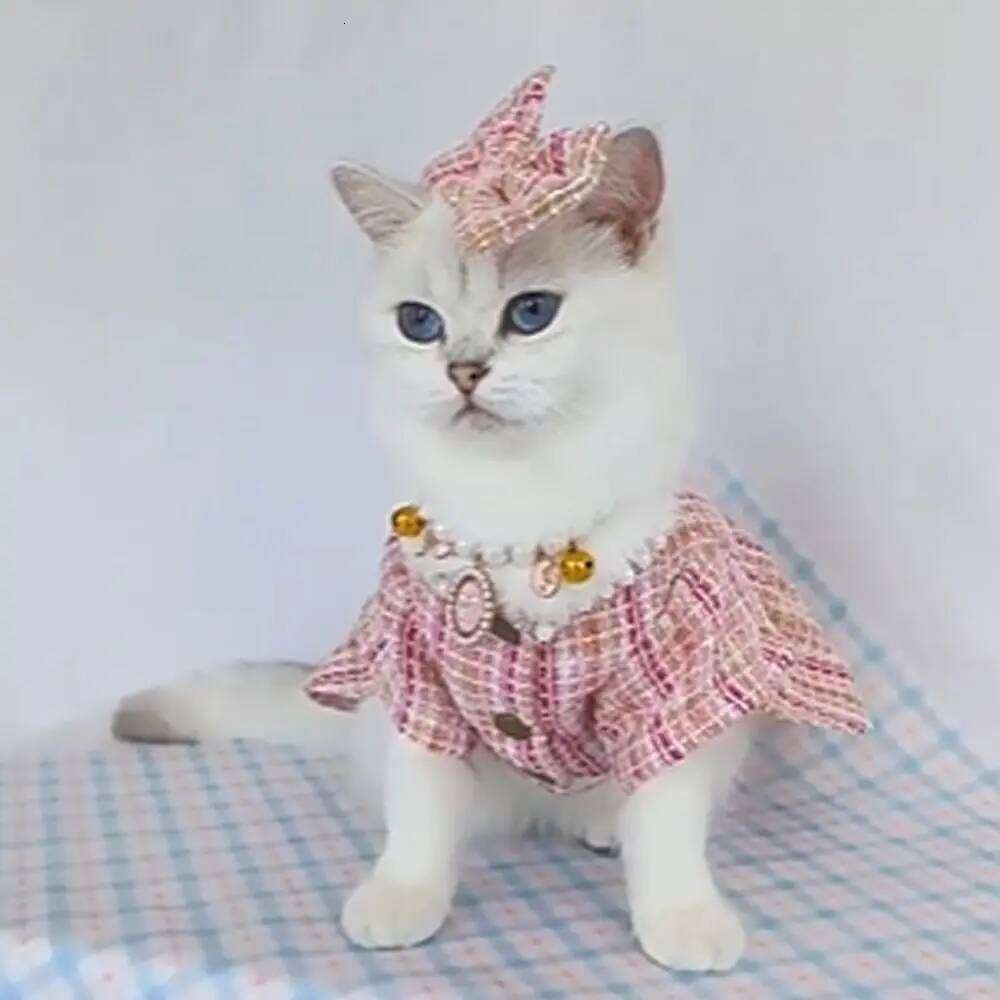 Fashion Cute Princess Dress Soft Thin Design Windbreaker Breathable Pet Clothes Autumn Winter H260129