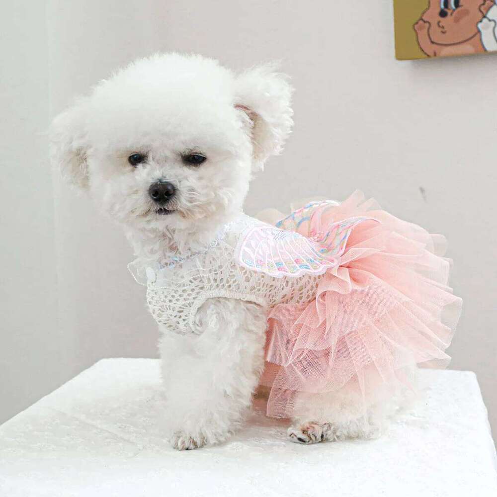 Princess Dress Butterfly Lace Costumes For Dog Chihuahua Yorkie Clothes Wedding Party Cooling Vest With Rose Bows Tutu Skir H260129