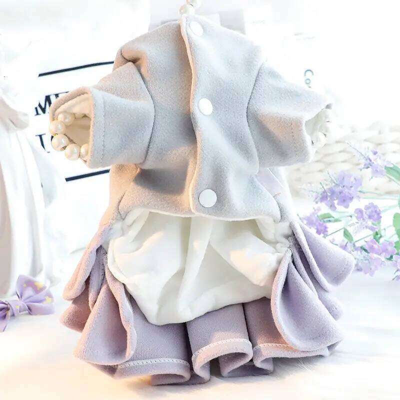 Clothes Autumn/Winter Thick Cat Princess Cotton Coat Woolen Cake Skirt Small Dog Teddy Pet H260129