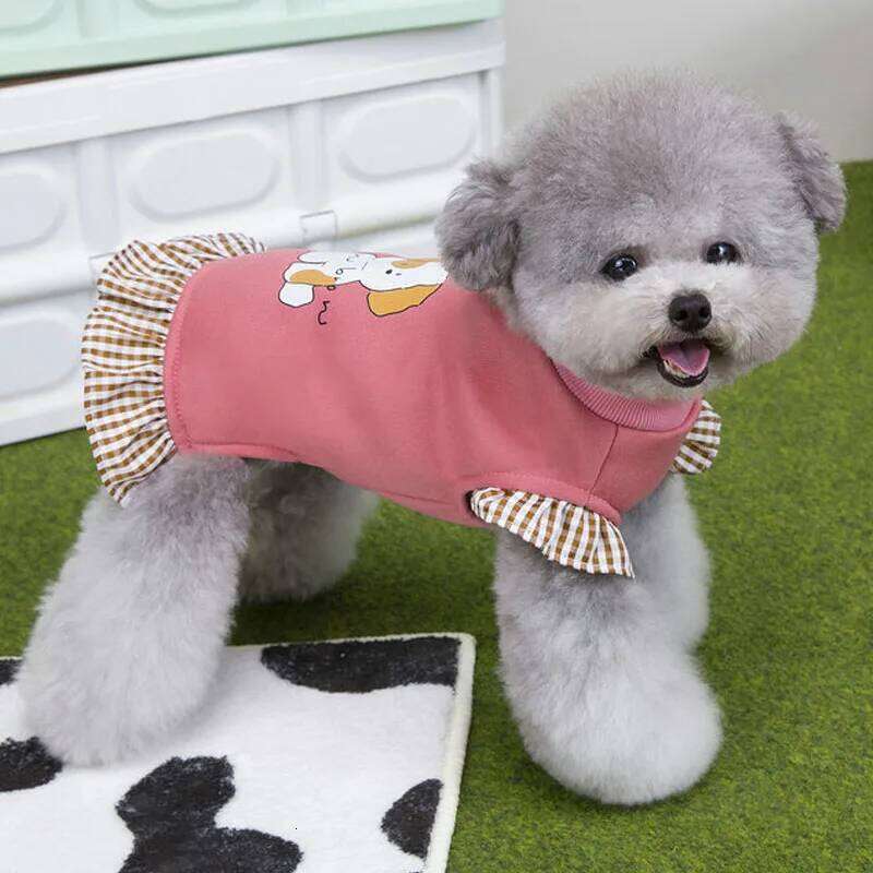 Blue Pink Dresses Winter Flying Sleeve Clothing Pullover Costume Pet Clothes For Small Dog Chihuahua Poodle Puppy Skirt Apparels H260129