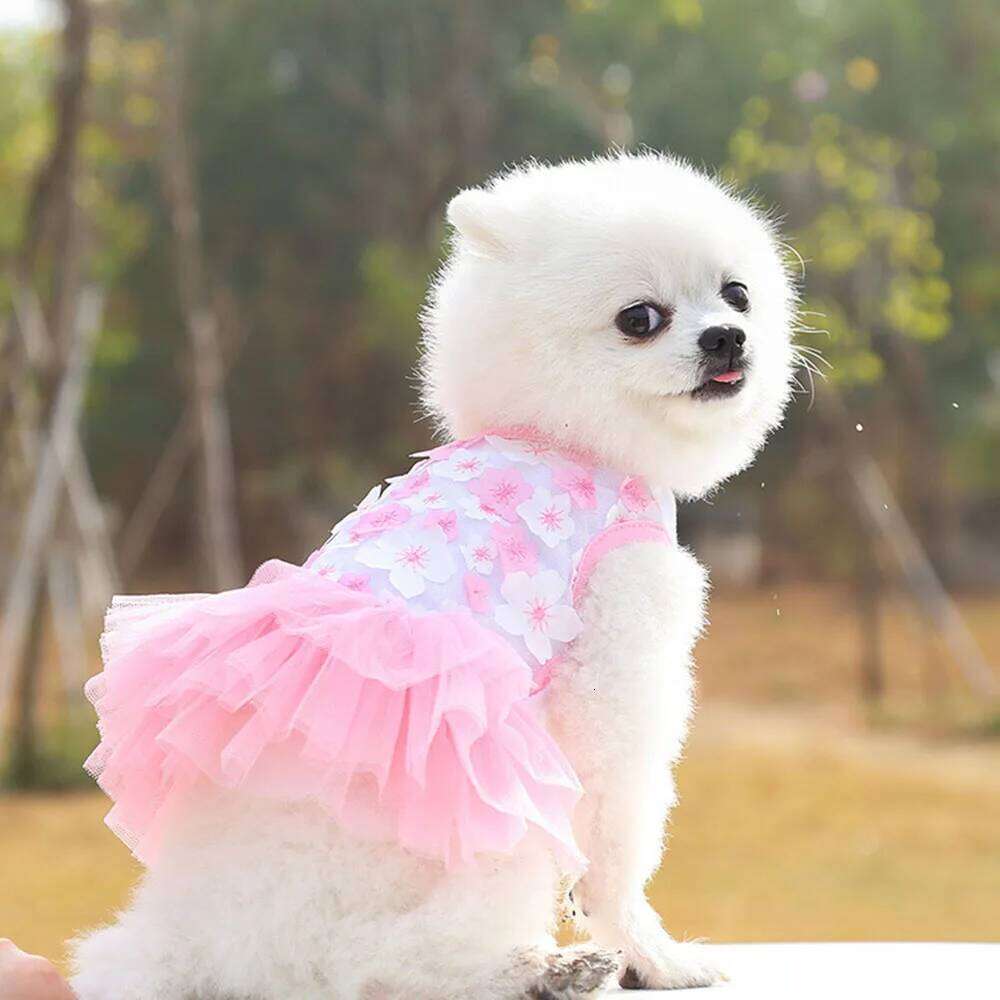 Lace Chiffon for Small Cat Lovely Floral Pet Party Birthday Costume Wedding Dress Cute Dog Clothes in Summer H260129