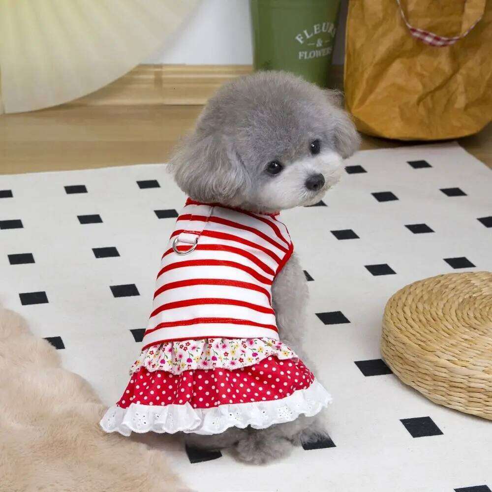 Chest Strap Cute Striped Dog Dress Breathable Soft Summer Clothes Thin Design Pet Princess Lace Skirt Spring H260130