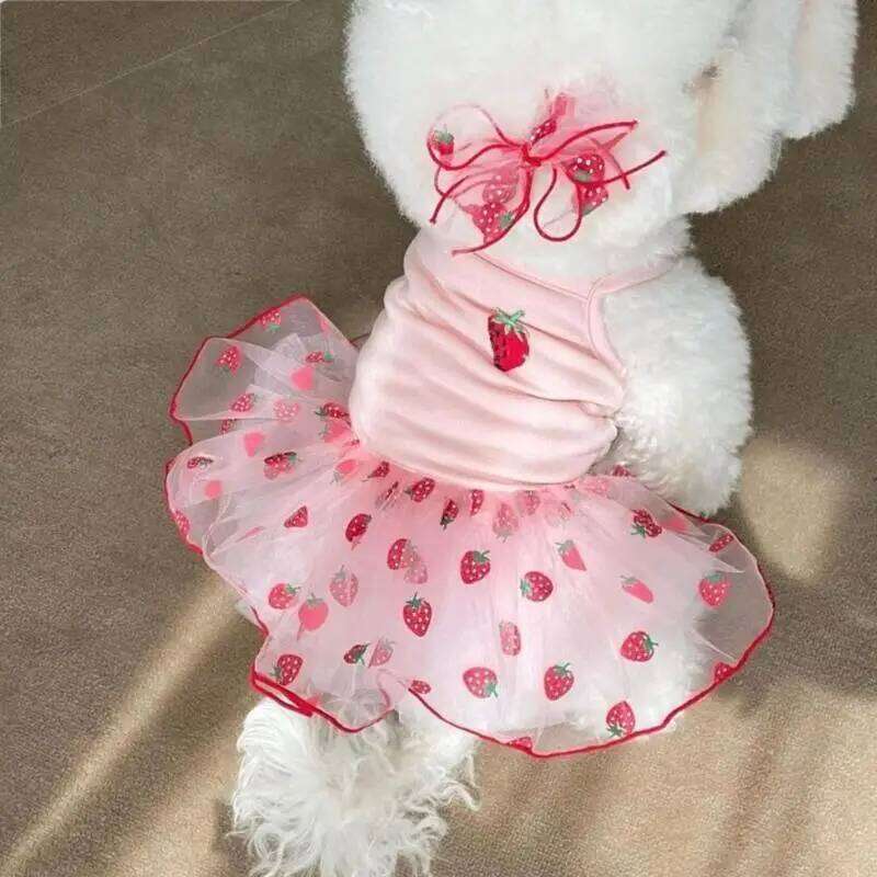 Lovely Puppy Dresses T-shirt Ruffled Beach Strawberry Outfit Elegant Props H260130