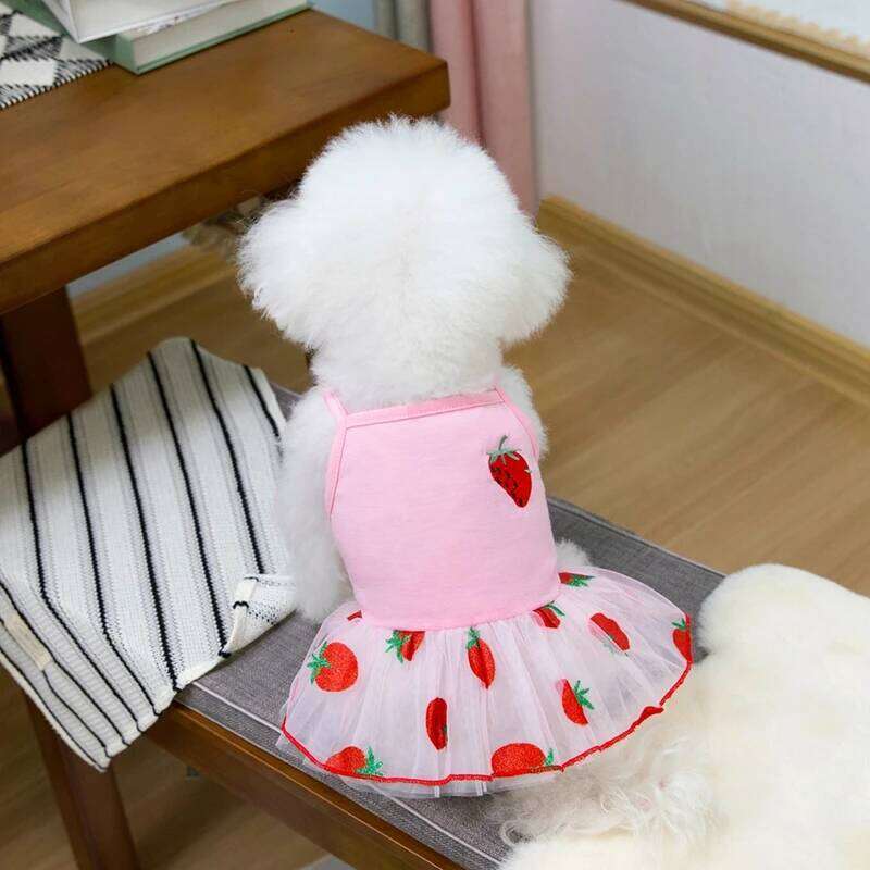 Trendy Spring-Summer Gold Gauze Skirt - Sparkling Pets Dog Costume for Elegant Puppies H260129