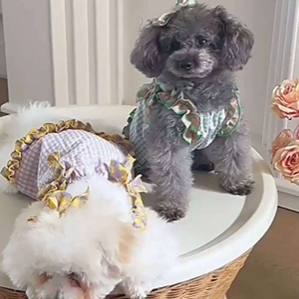 Comfortable Cute Plaid Lace Vest Fashion Soft Pet Summer Princess Skirt Breathable Cat Dress for Puppy Kittens H260130