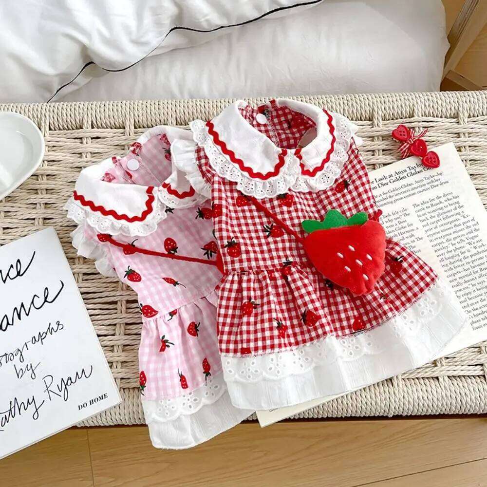 Fashion Cute Pet Strawberry Dress Soft Thin Design Dog Vest Breathable Cat Skirt Autumn H260130