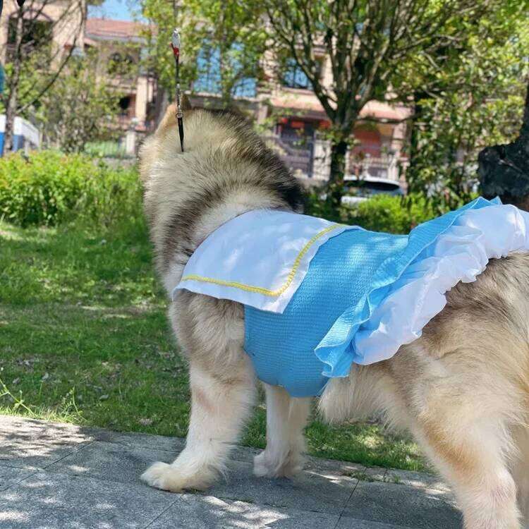 Spring Summer Pet Apparel Fairy Tale World Tucker Dress for Large Dog Golden Retriever Alaska Satsuma H260129