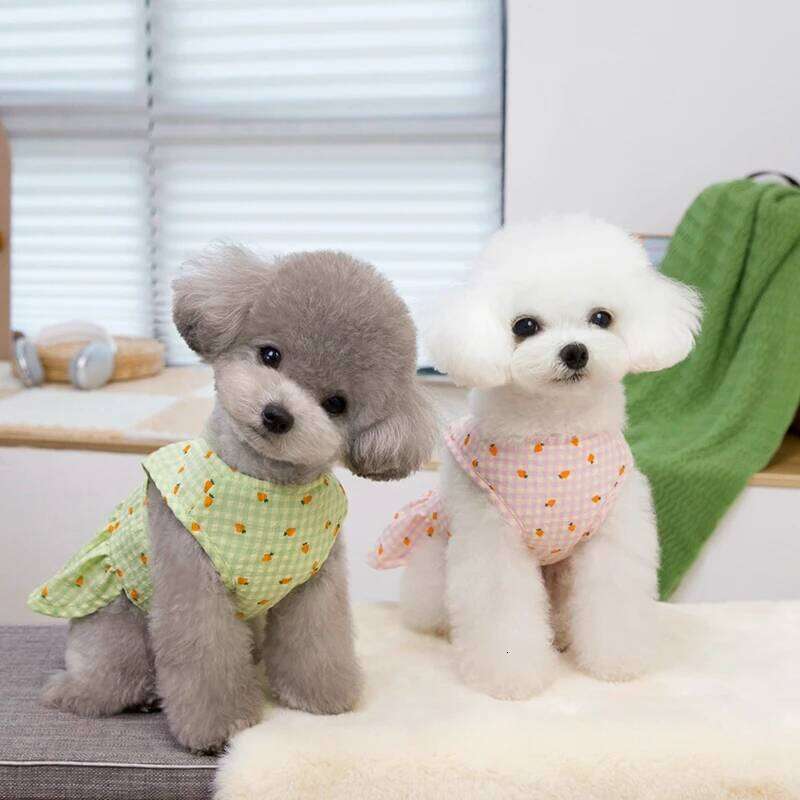 Trendy Spring Summer Pet Dog Costume - Floral Ragdoll Traction Skirt with Breathable Mesh Cute Puppy Dress H260129