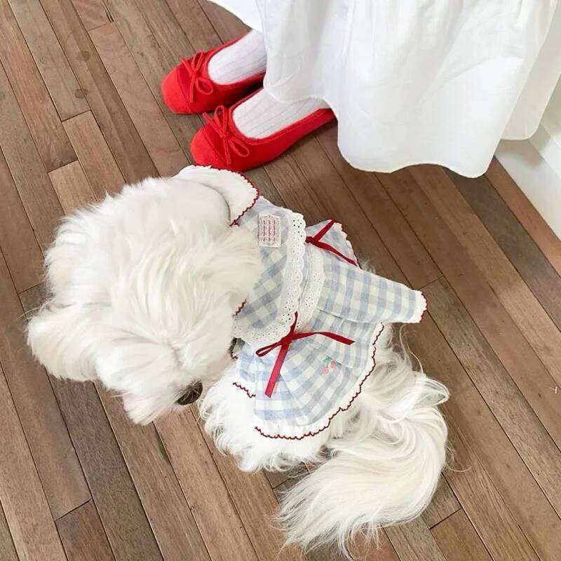 Cute Summer Bow Princess Dress Puppy Vest Thin Teddy Jumper Navy Dog Beautiful Sailor Suit Pet Opener Clothes H260130