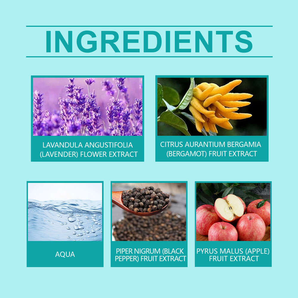 Roxelis Perfume Cologne Exudes Classic Scent Enhances Charm Portable Anytime Natural Fresh Fragrance S260131