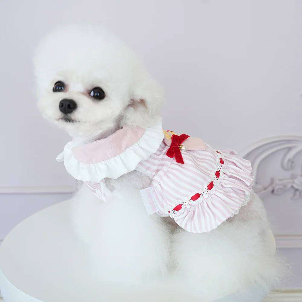 Pet Autumn and Winter Striped Princess Skirt Medium-sized Coat Warm Cat Dog Dresses for Small Dogs Puppy Clothes H260130