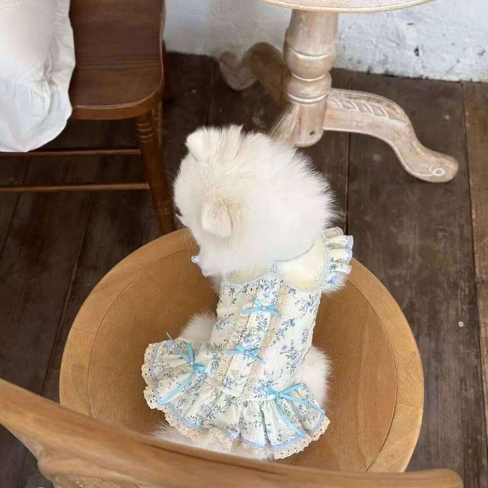 Autumn/Winter Floral Bow Skirt Teddy Cat Pet Tank Top Dog Dresses for Small Dogs Puppy Christmas Clothes H260129