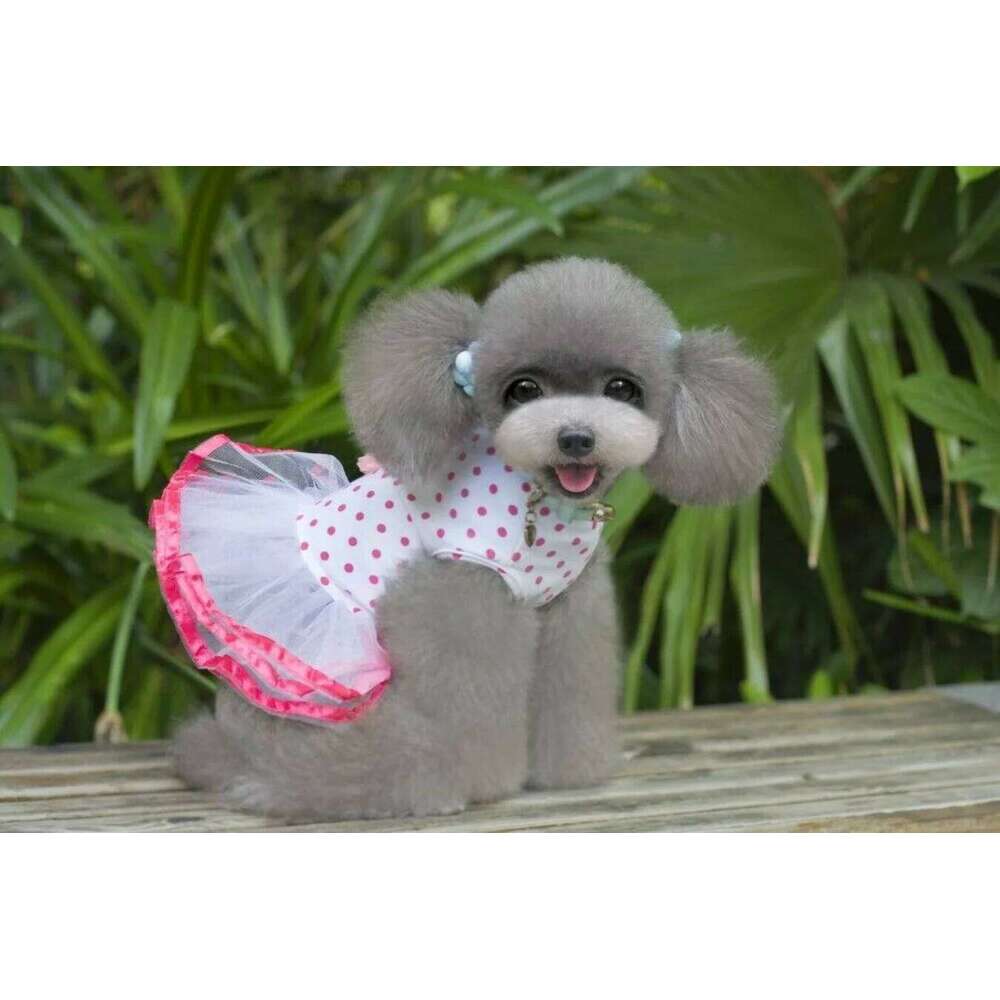 Summer Dog Dress for Small Dogs, Skirt Pet Princess Clothing, Dot Wedding Coat H260130