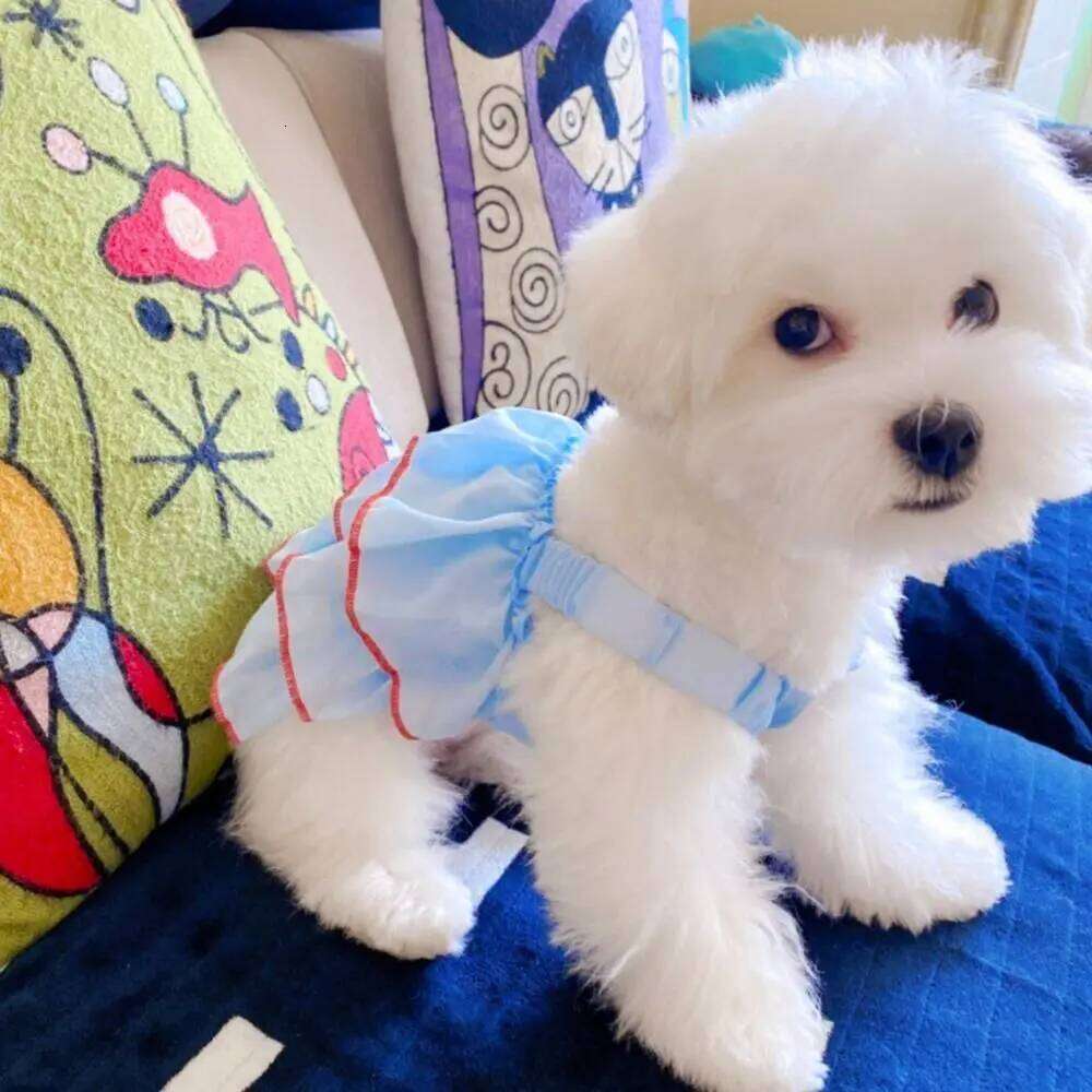 Stylish Thin Pet Princess Dress Lightweight Small Dogs Cats Dog Cat Clothes Breathable Outfit for Teddy, Bichon, French Bulldog H260130