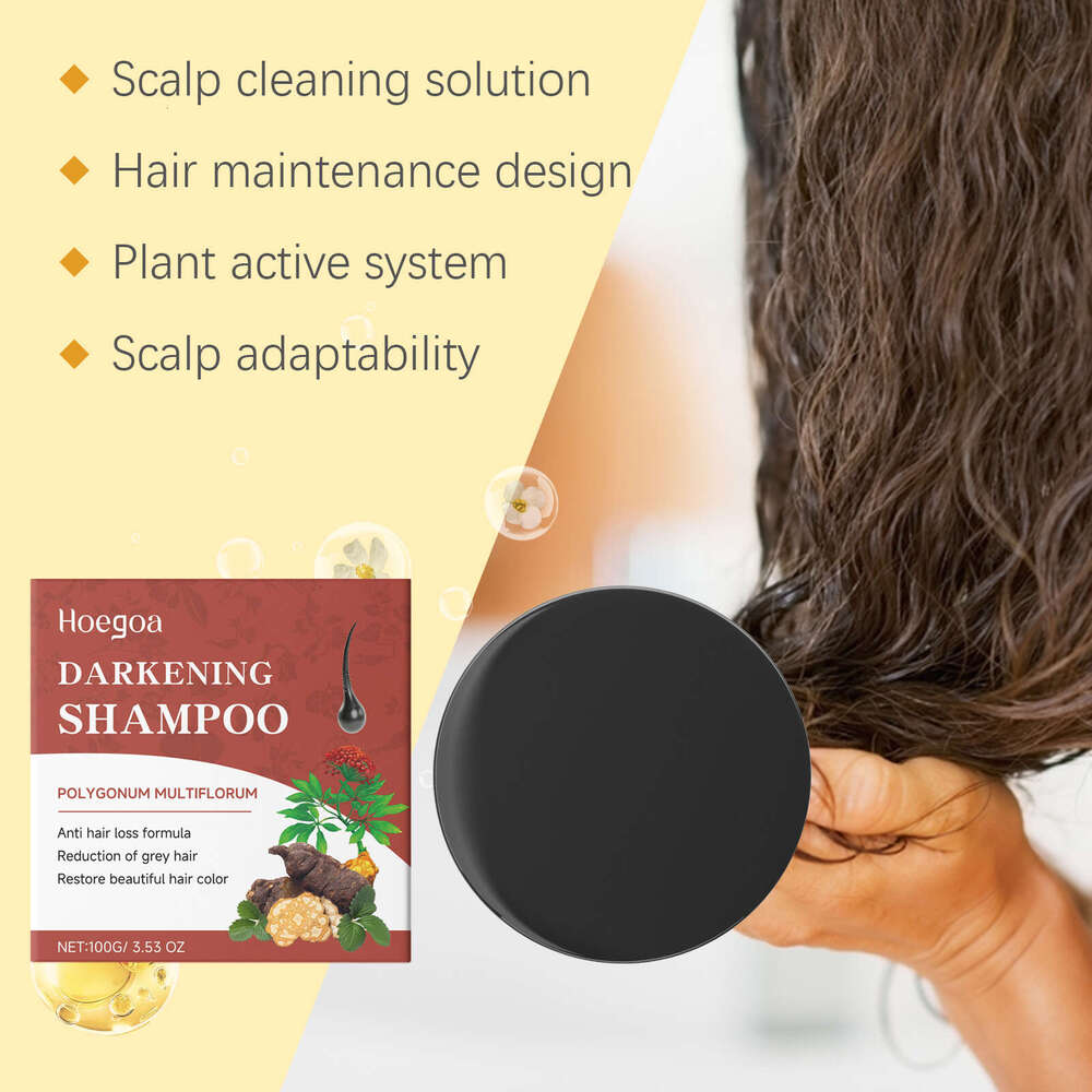 Hoegoa Shampoo Daily Scalp Cleansing Natural Shine Smooth Care Black Hair Soap S260131