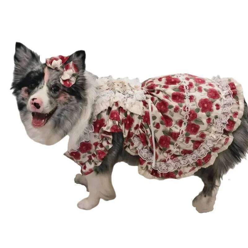 Large Pet Dress Tutu Summer Big Dog Clothing Corgi Shiba Inu Border Collie Samoyed Husky Labrador Golden Retriever Clothes H260129
