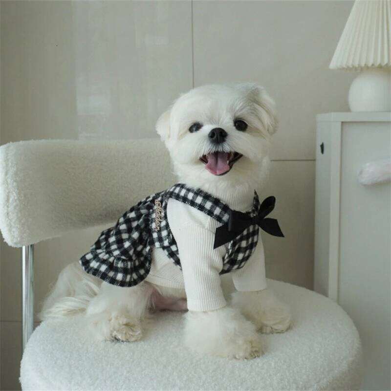 Pet Autumn/Winter Strap Skirt Cat Checkered Bow Vest Christmas Birthday Small and Medium Sized Dog Coat H260130