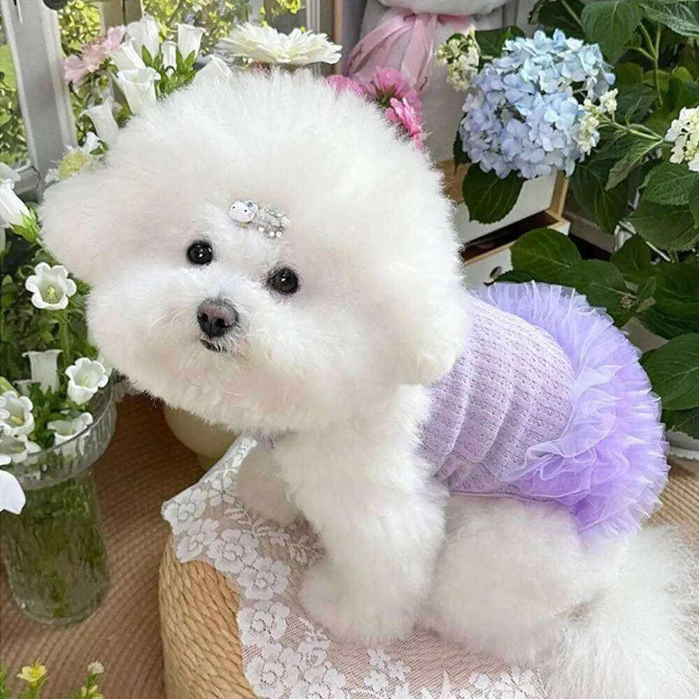 Fashion Lace Summer Thin Design Lightweight Dog Princess Dress Purple Comfortable Pet Costumes Puppy Apparel H260130