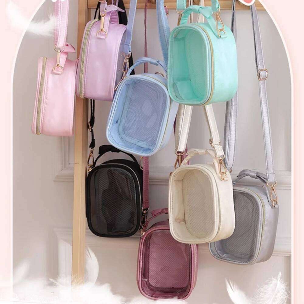 Cute Bow Ita with Removable Insert Plate Double Transparent Windows Messenger Woman Small Shoulder Crossbody Bag 2026