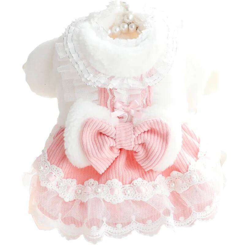 Clothes Autumn and Winter Thick Cat Princess Dress Bow Lace Small Dog Teddy Pet Supplies H260129