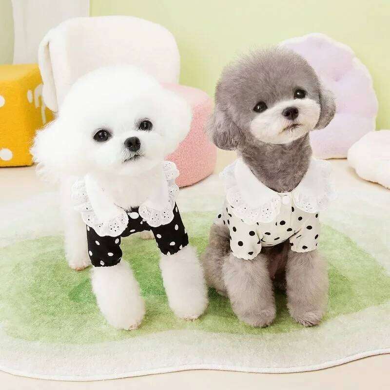 Fashion Thin Breathable Dog Vest Summer New Puppy Clothes Polka Dot Full Print Cute Teddy Cardigan Yorkshire Two Legs Clothing H260130
