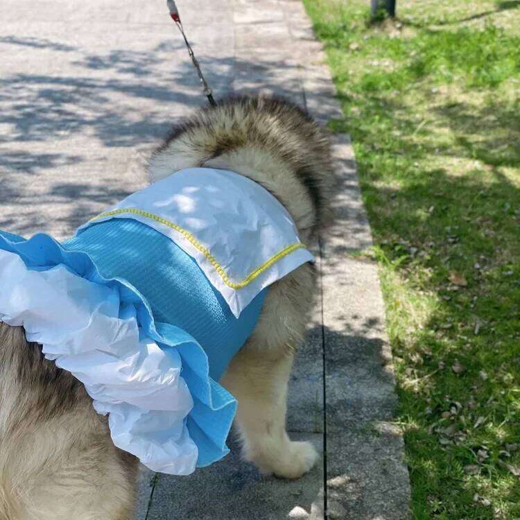 Spring Summer Pet Apparel Fairy Tale World Tucker Dress for Large Dog Golden Retriever Alaska Satsuma H260129