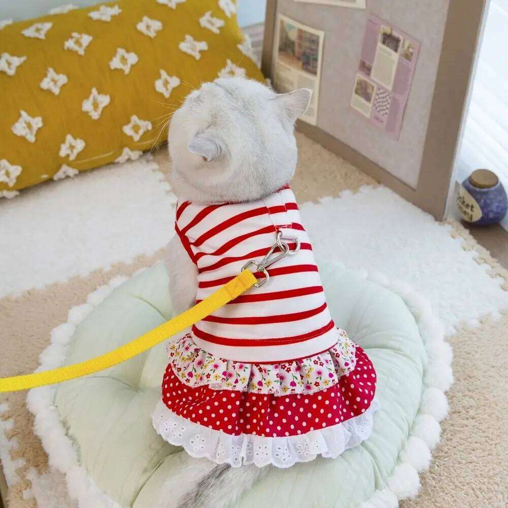 Chest Strap Cute Striped Dog Dress Breathable Soft Summer Clothes Thin Design Pet Princess Lace Skirt Spring H260130