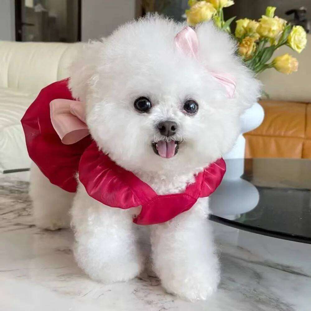 New Big Bow Summer Clothes Soft Elastic Dog Skirt Supplies Thin Pet Princess Dress H260129