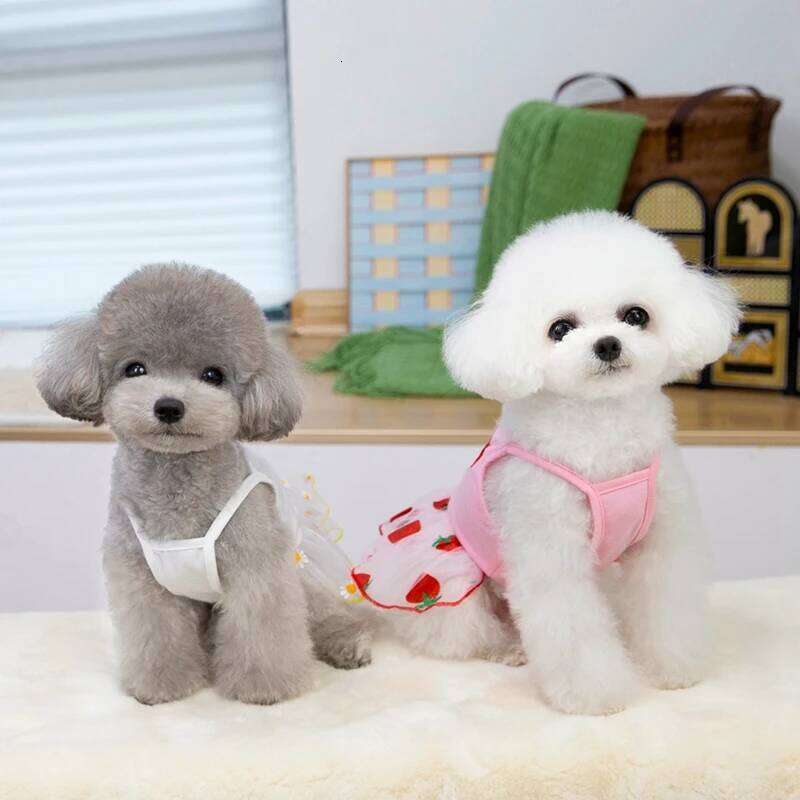 Trendy Spring-Summer Gold Gauze Skirt - Sparkling Pets Dog Costume for Elegant Puppies H260129